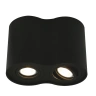 Потолочный светильник Arte Lamp A5644PL-2BK