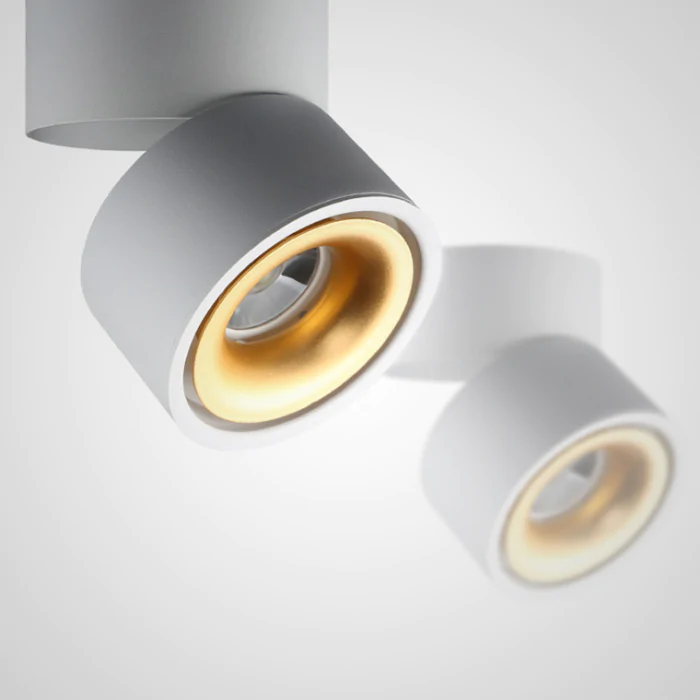 Потолочный светильник AGENDA White+Gold 10W ImperiumLoft