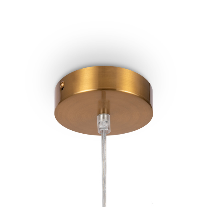 Подвесной светильник Freya Focus FR5220PL-01G6