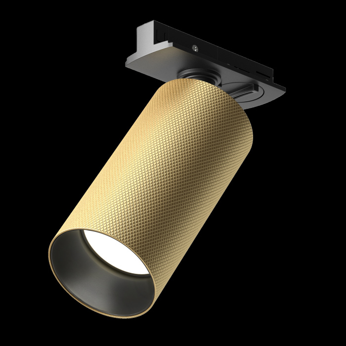 Трековый светильник Maytoni Artisan TR089-1-GU10-BMG