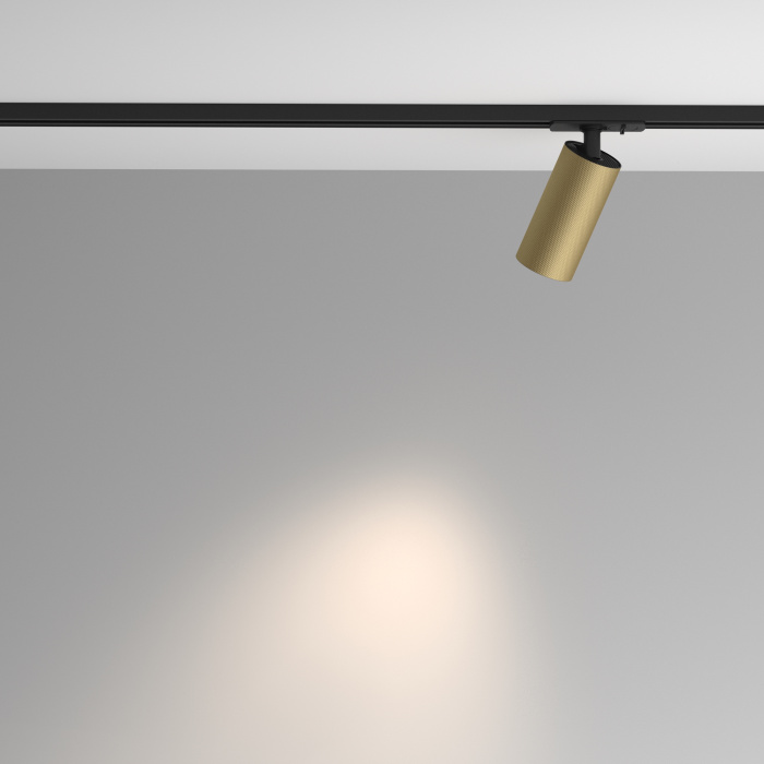 Трековый светильник Maytoni Artisan TR089-1-GU10-BMG