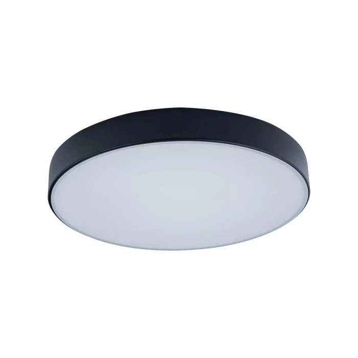 Светильник потолочный LOFTIT Axel 10002/24 Black