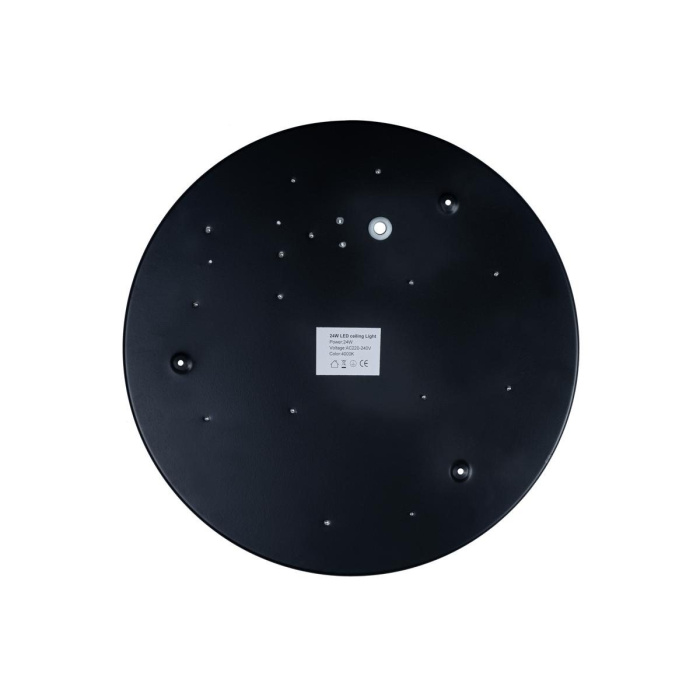 Светильник потолочный LOFTIT Axel 10002/24 Black