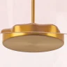 Потолочный светильник Lightstar Celesta 809062