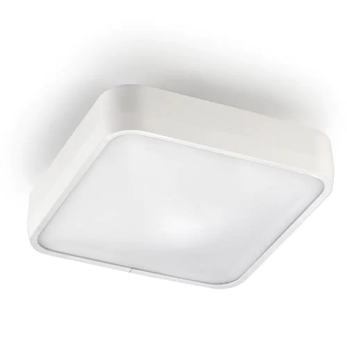 Потолочный светильник Leds C4 RAS 15-4685-14-M1