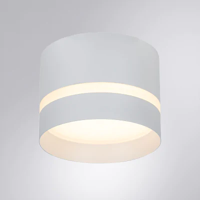 Светильник точечный накладной со сменной лампой Arte Lamp IMAI A2265PL-1WH