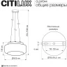 Подвесной светильник Citilux Signature CL247044