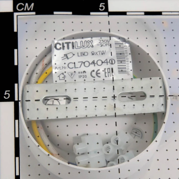 Светильник настенный Citilux Декарт CL704040