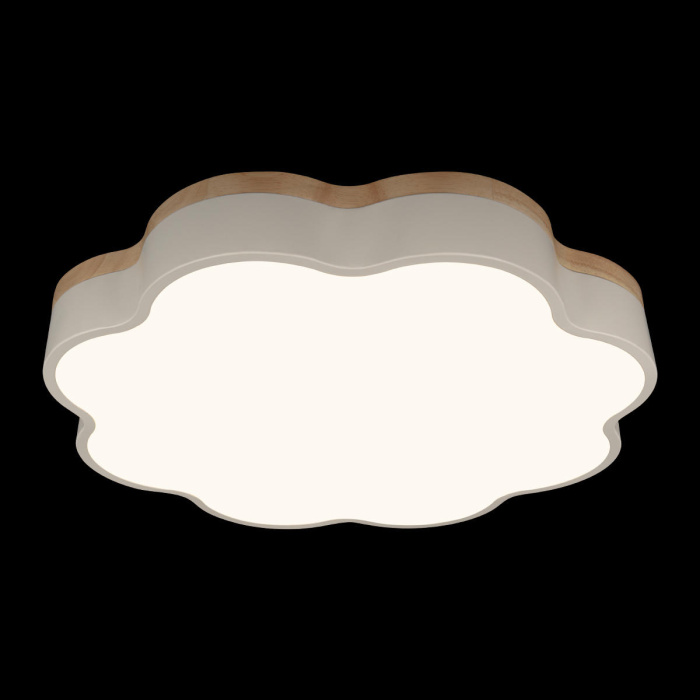 Потолочный светильник LOFT IT Axel 10225/36 White