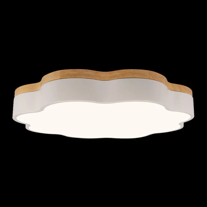 Потолочный светильник LOFT IT Axel 10225/36 White