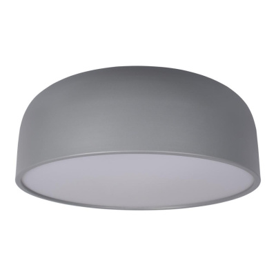 Потолочный светильник Loft it Axel 10201/480 Grey