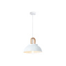Подвесной светильник в стиле лофт Ambrella light TR8190