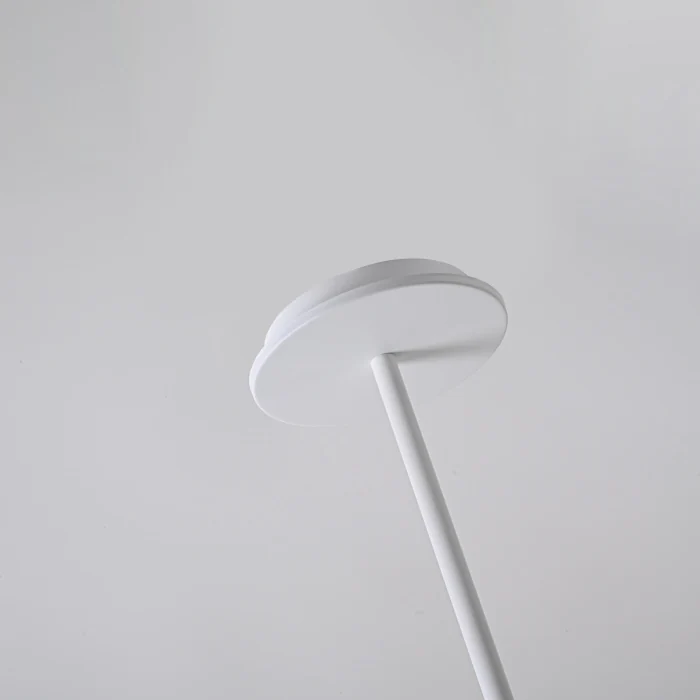 Подвесной светильник ARIA Transparent ImperiumLoft