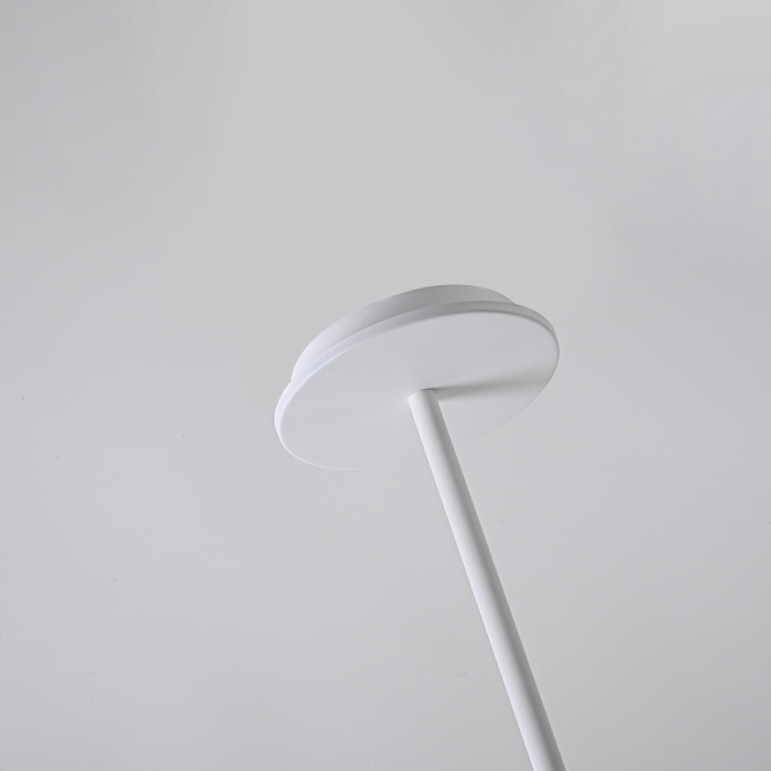 Подвесной светильник ARIA Transparent ImperiumLoft