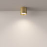 Потолочный светильник Maytoni Polar C088CL-GX53-MG