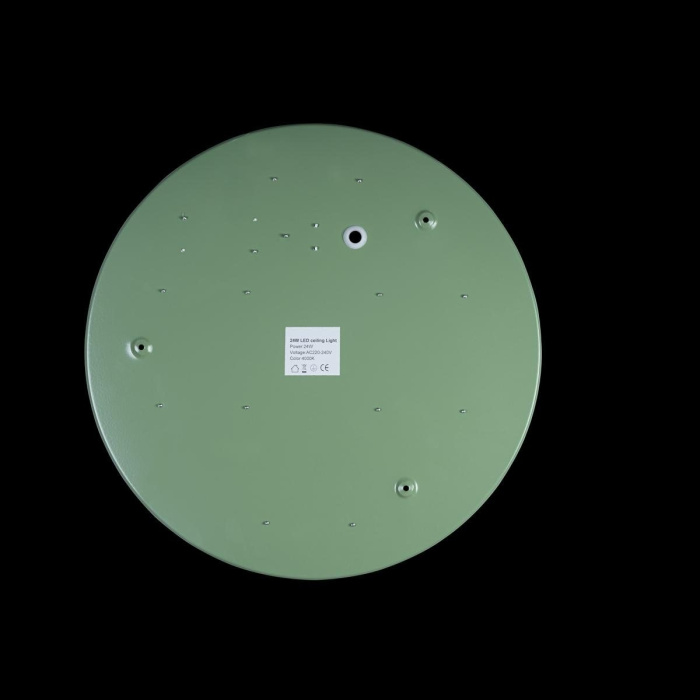 Светильник потолочный LOFTIT Axel 10002/24 Green