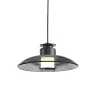 Подвесной светильник Delight Collection 8665 8665P/S black/smoky