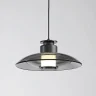 Подвесной светильник Delight Collection 8665 8665P/S black/smoky