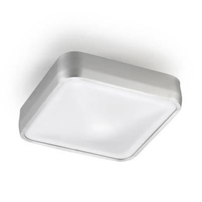 Потолочный светильник Leds C4 RAS 15-4685-S2-M1