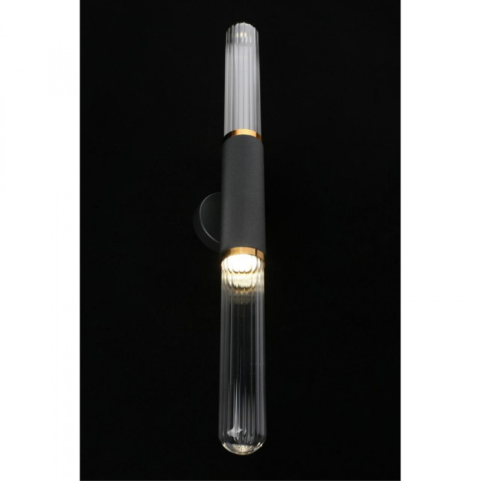 Светильник настенный Aployt Brynia APL.307.01.02