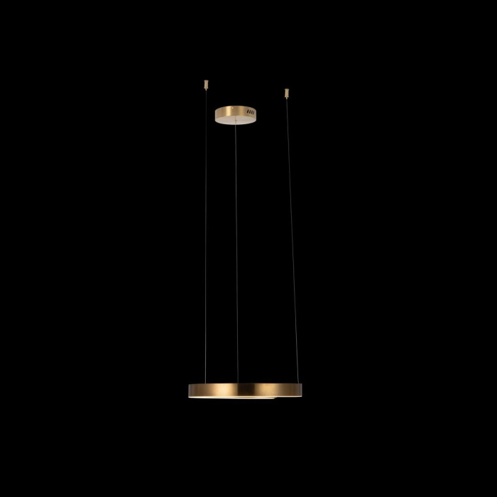 Светильник подвесной LOFTIT Ring 10013S