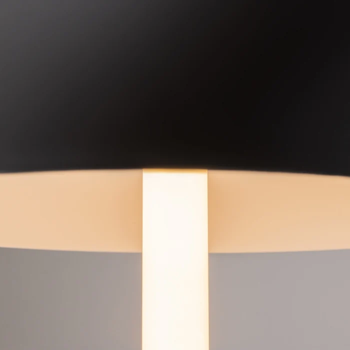 Настольная лампа Maytoni Ray Z012TL-L8B3K