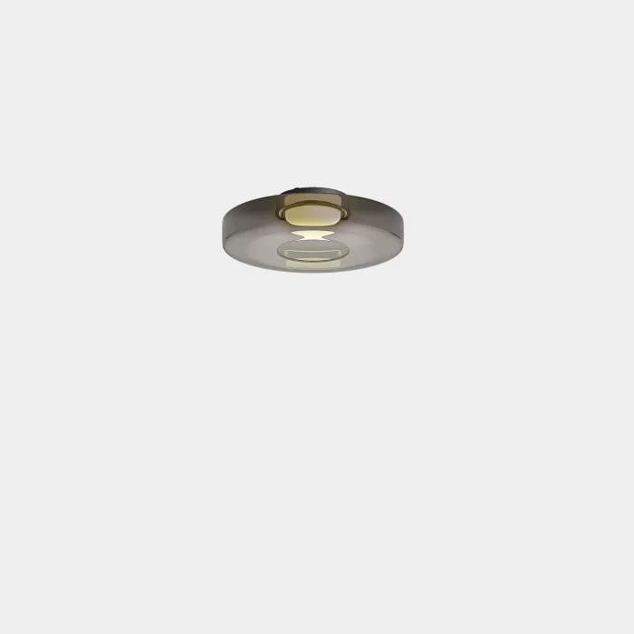 Потолочный светильник Leds C4 15-8450-05-12