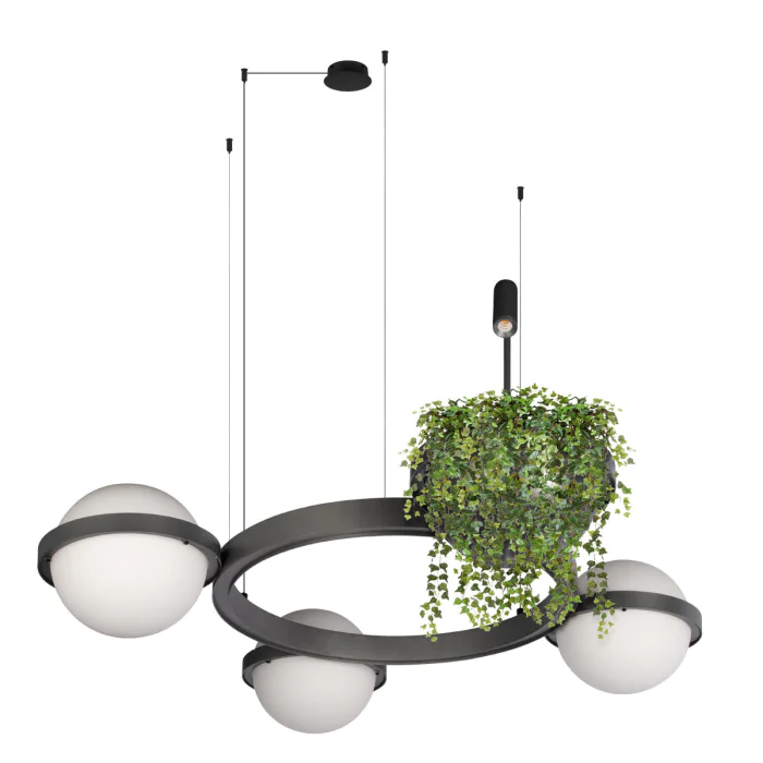 Подвесной светильник LOFT IT Jardin 10121/3 Dark grey