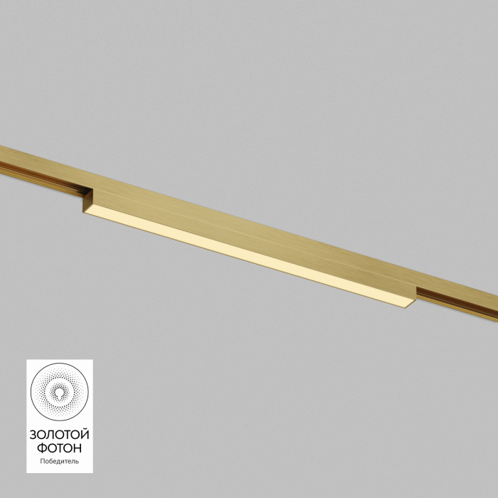 Светильник на шине Denkirs SHINE LINEAR DK5751-SB