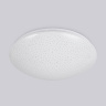 Потолочный светодиодный светильник Ambrella light FZ1077
