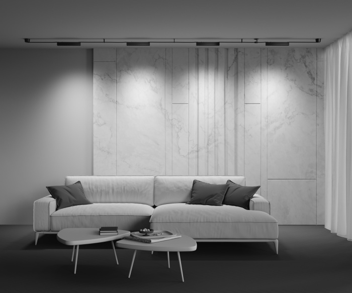 Трековый светильник Maytoni Points TR128B-12W4K-M-B