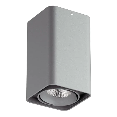 052139 IP65 Светильник MONOCCO LED10W 600LM 30G СЕРЫЙ 4000K (в комплекте)