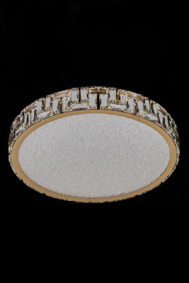 Потолочный светильник Leon Afina LE3048/500 GD