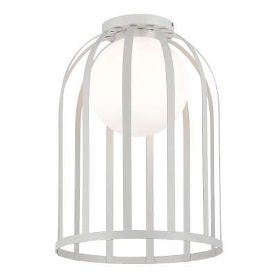 Потолочный светильник ST LUCE NORDIC SL6129.502.01