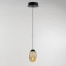 Подвесной светильник Delight Collection MD25090022 MD25090022-1A matt black/champagne