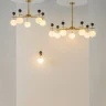 Люстра на штанге Maytoni Museo MOD436PL-05BS