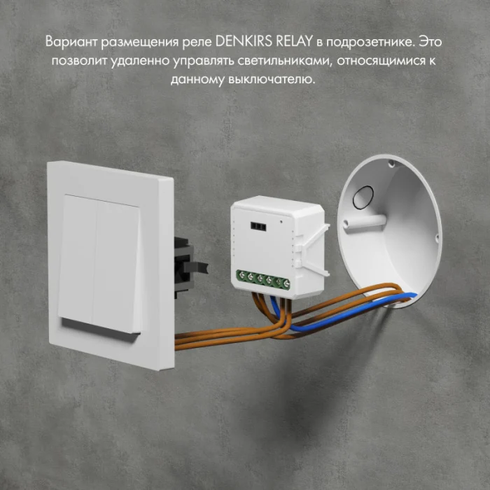Wi-Fi реле Denkirs Relay RL1002-SM