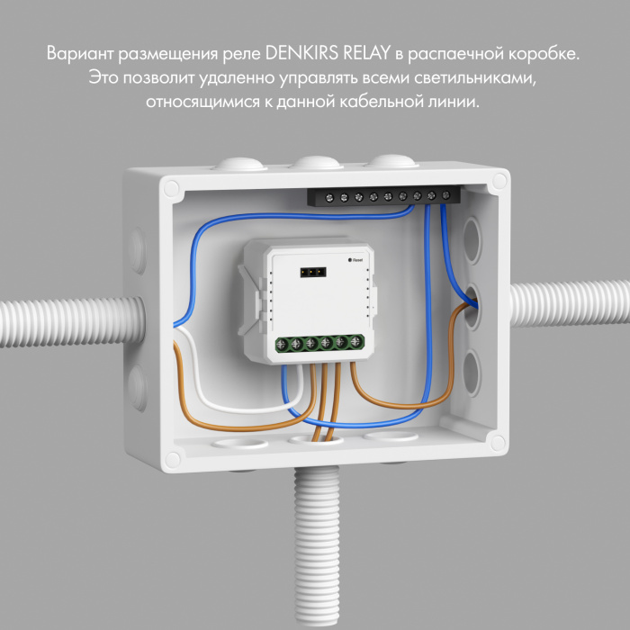 Wi-Fi реле Denkirs Relay RL1002-SM
