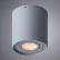Потолочный светильник Arte Lamp Falcon A5645PL-1GY