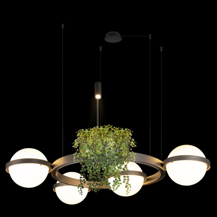 Подвесной светильник LOFT IT Jardin 10121/4 Dark grey