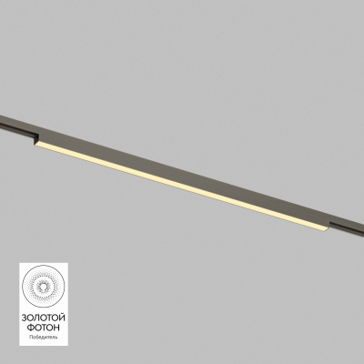 Светильник на шине Denkirs SHINE LINEAR DK5752-DN