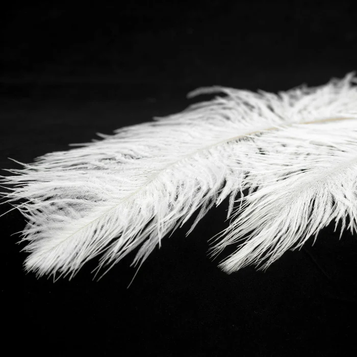 Подвесной светильник Lussole GRLSP-8600