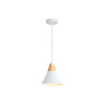 Подвесной светильник в стиле лофт Ambrella light TR8195