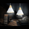 Подвесной светильник в стиле лофт Ambrella light TR8195