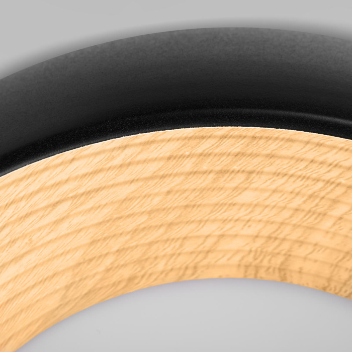 Потолочный светильник Loft it Folk 10255/350 Black