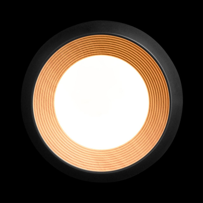 Потолочный светильник Loft it Folk 10255/350 Black