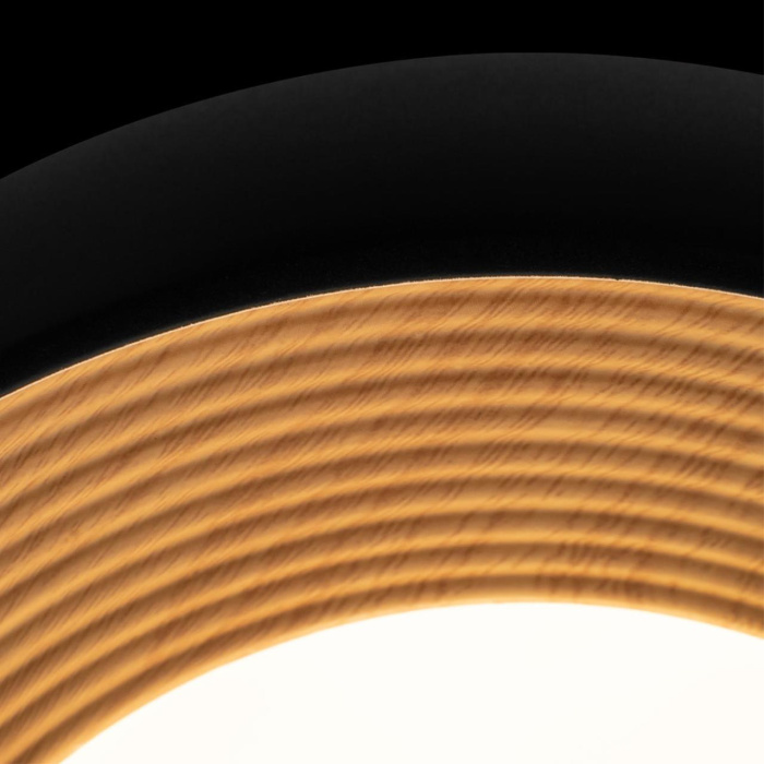 Потолочный светильник Loft it Folk 10255/350 Black