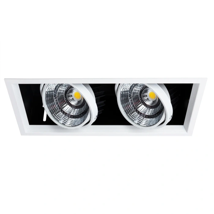 Встраиваемый светильник Arte Lamp MERGA A8450PL-2WH