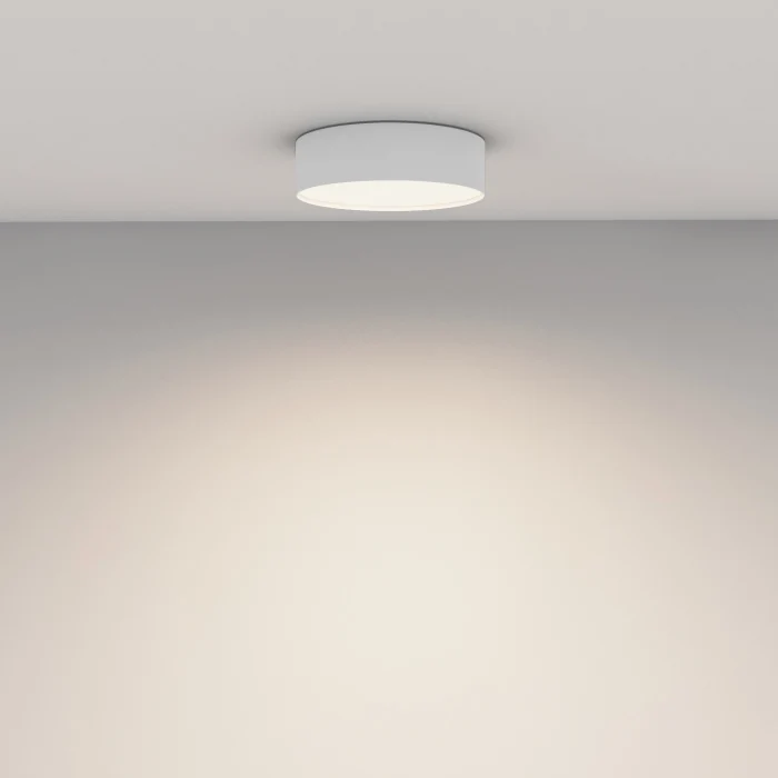 Потолочный светильник Maytoni Technical Ceiling Zon C032CL-24W4K-RD-W