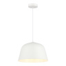Подвесной светильник evoluce BLANK SLE1805-503-01